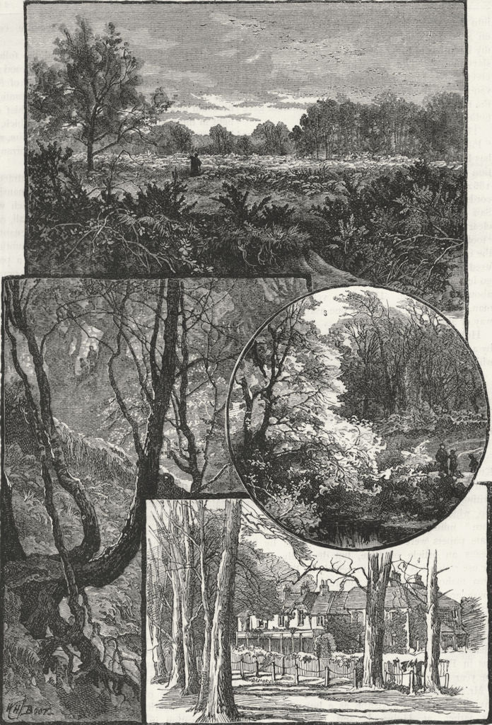 HAYES COMMON. Coney Hill; Old sand-pit; House 1888 antique print picture